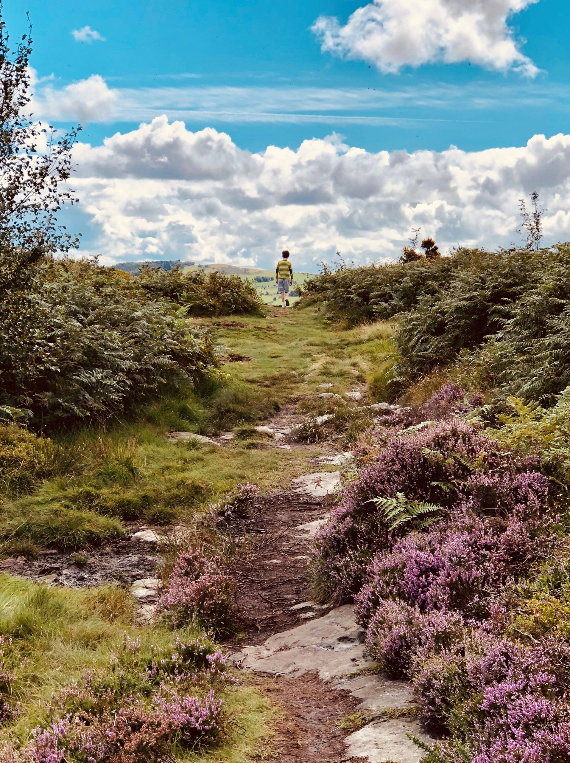 Allen Psychology Limited Educational Psychologist, Wirral